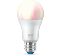 Лампа Wiz Wi-Fi BLE 60WA60E27922-65RGB1PF/6 929002383602