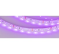 Светодиодная лента Arlight RT-A60-8mm 12V Pink 5 м 013571(2)