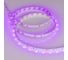 Светодиодная лента Arlight RT-A60-8mm 12V Pink 5 м 013571(2) 3