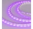 Светодиодная лента Arlight RT-A60-8mm 12V Pink 5 м 013571(2) 4