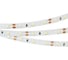 Светодиодная лента Arlight RT-A60-8mm 12V Warm3500 5 м 034444 2