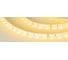 Светодиодная лента Arlight RT-A60-8mm 12V Yellow 5 м 010521(2) 1