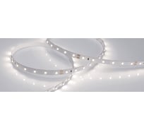 Светодиодная лента Arlight RT-A60-8mm 24V Day4000 5 м 016144(2)
