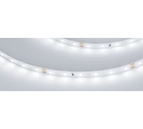 Светодиодная лента Arlight RT-A60-8mm 24V White6000 5 м 020011(2)