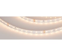 Светодиодная лента Arlight RT-A80-8mm 24V Warm2700 5 м 024514(2)