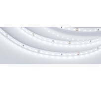Светодиодная лента Arlight RT-A98-8mm 24V White6000 5 м 019913(2)