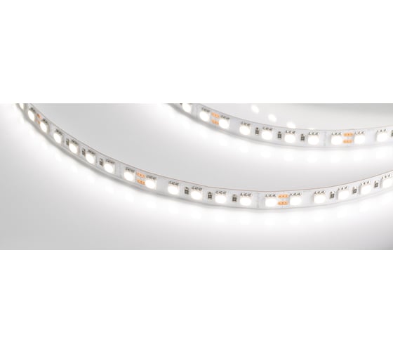 Светодиодная лента Arlight RT-B96-10mm 24V Day4000 5 м 017424(2) 1