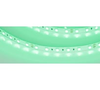 Светодиодная лента Arlight RT-B60-10mm 24V Green 5 м 008818(2)