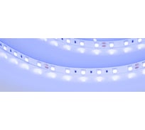 Светодиодная лента Arlight RT-B60-10mm 24V Blue 5 м 008819(2)