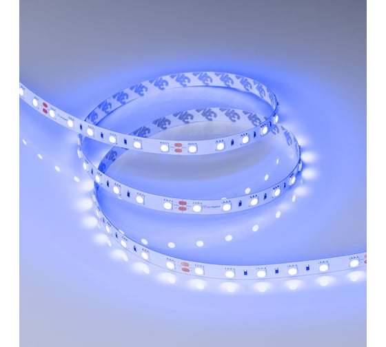 Светодиодная лента Arlight RT-B60-10mm 24V Blue 5 м 008819(2)