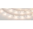 Светодиодная лента Arlight RT-B30-10mm 12V Warm2400 5 м 018102(2) 1