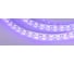 Светодиодная лента Arlight RT-B60-10mm 12V UV400 5 м 012815(2) 1