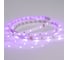 Светодиодная лента Arlight RT-B30-10mm 24V RGB 5 м 022066(2) 3