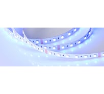 Светодиодная лента Arlight RT-B60-12mm 24V RGBW-Day-4-in-1 5 м 019151(2)