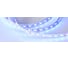 Светодиодная лента Arlight RT-B60-12mm 24V RGBW-Warm-4-in-1 5 м 019152(2) 1
