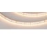 Светодиодная лента Arlight RT-A160-8mm 24V Warm2700 5 м 024539(2) 1