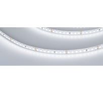 Светодиодная лента Arlight RT-A160-8mm 24V White6000 5 м 024534(2)