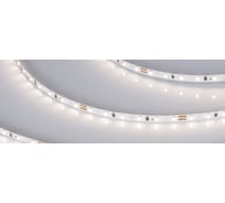 Светодиодная лента Arlight MICROLED-M120-4mm 24V Day4000 5 м 024413(2)