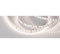 Светодиодная лента Arlight MICROLED-M120-8mm 24V Day5000 5 м 024428(2)