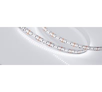 Светодиодная лента Arlight MICROLED-M300-8mm 24V White6000 5 м 023556(2)