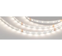 Светодиодная лента Arlight NT-A60-8mm 24V Day4000 5 м 033519