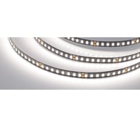 Светодиодная лента Arlight RT-5000-2835-160-24V Day4000 5 м 029427(1)
