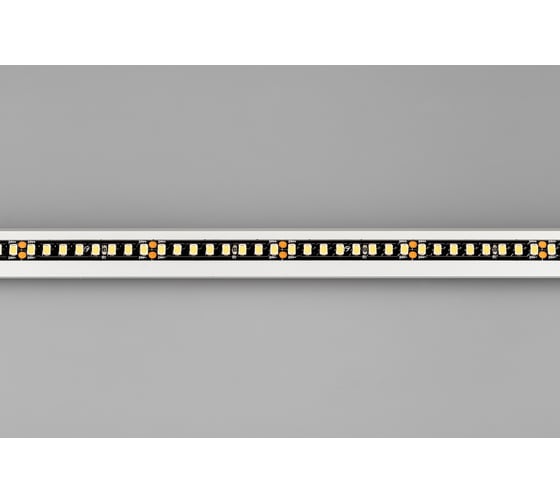 Светодиодная лента Arlight RT-5000-2835-160-24V Warm3000 5 м 029426