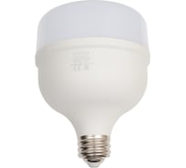 Светодиодная лампа Ecola High Power LED Premium 65W 220V универс. E27/E40 лампа 6000K 240x140mm HPUD65ELC