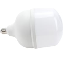 Светодиодная лампа Ecola High Power LED Premium 80W 220V универс. E27/E40 лампа 6000K 240x130mm HPUD80ELC