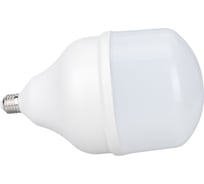 Светодиодная лампа Ecola High Power LED Premium 100W 220V универс. E27/E40 лампа 6000K 260x150mm HPD100ELC