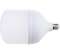Светодиодная лампа Ecola High Power LED Premium 50W 220V универс. E27/E40 лампа 4000K 220x120mm HPUV50ELC