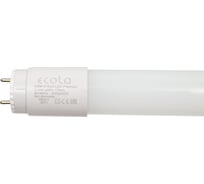 Светодиодная лампа Ecola T8 Premium G13 LED 21,0W 220V 4000K с повор. цоколями 1213x26 упак.инд.цв./8/24 CR8V21ELB