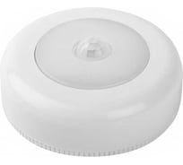 Светодиодный светильник Jazzway TS5-L1W-SENS 6SMD 0.8Вт 6000К 50лм IP43 пушлайт с датчиком движения и освещенности 3хAAA (не в компл.) 5031661