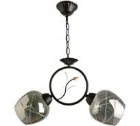 Потолочный светильник HIPER 2хE27х60Вт BLACK H173-1