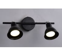 Настенно-потолочный светильник РОССВЕТ 2*40Вт*GU10 РС21490 BK+CR/2C
