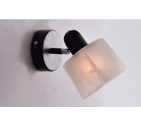 Настенно-потолочный светильник РОССВЕТ 1*60Вт*E14 РС21856 BK+CR/1C