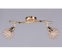 Настенно-потолочный светильник РОССВЕТ 2*60Вт*E14 РС20526 CG/2S