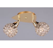 Настенно-потолочный светильник РОССВЕТ 2*60Вт*E27 РС20527 CG/2S