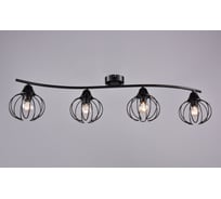 Настенно-потолочный светильник РОССВЕТ 4*60Вт*E14 РС20867 BK/4C