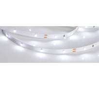 Светодиодная лента Arlight RT 2-5000 24V White6000 0.5x 5 м 019917(B)