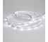 Светодиодная лента Arlight RT 2-5000 24V White6000 0.5x 5 м 019917(B) 3