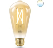 Лампа Wiz Wi-Fi BLE50WST64E27920-50Amb1PF/6 929003018701