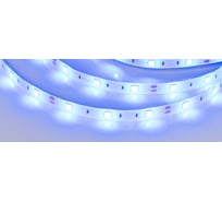 Светодиодная лента Arlight RTW 2-5000SE 12V Blue 5 м 015135(1)