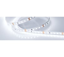 Светодиодная лента Arlight RT 2-5000 24V Cool 8K 2x 5 м 016888(1)