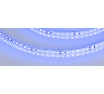 Светодиодная лента Arlight RT-A120-8mm 24V Blue 5м 008783(2)