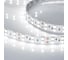 Светодиодная лента Arlight RT 2-5000 24V White6000 2x2 5 м 011256(1) 2