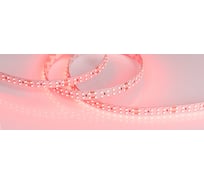 Светодиодная лента Arlight RT 2-5000 24V Red 2x2 5 м 008775(B)