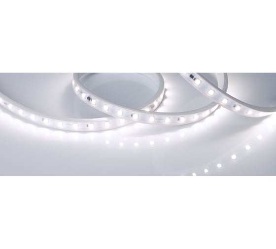 Светодиодная лента Arlight ARL-50000PV-5060-54-230V Cool10000 0270551