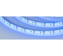Светодиодная лента Arlight RTW 2-5000SE 12V Blue 2x 5 м 014798(1)