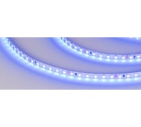 Светодиодная лента Arlight RT 2-5000 24V Blue 5mm 2x0156601 5 м 015660(1)